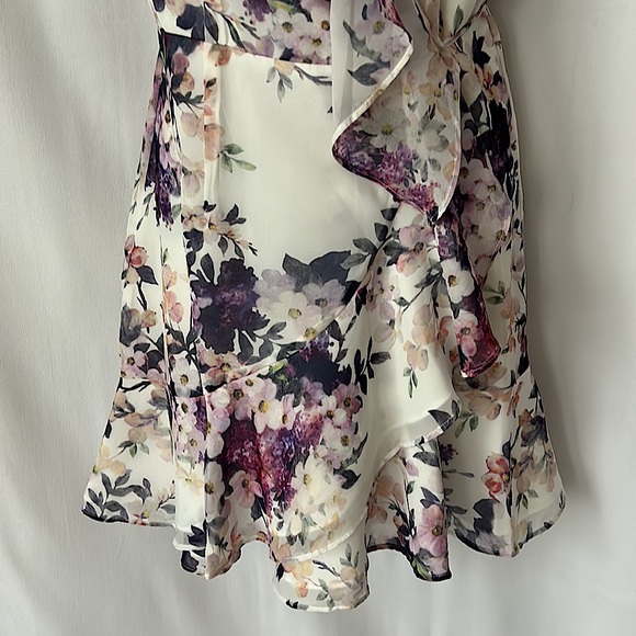 Yumi Kim NWT Romantic Napa Valley Sheer Bliss Sleeveless Dress **Size M** 🌸🌸 - Picture 5 of 6